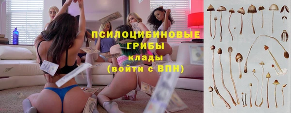 трава Армянск