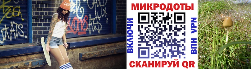 наркотики  Сосновка  Псилоцибиновые грибы прущие грибы 